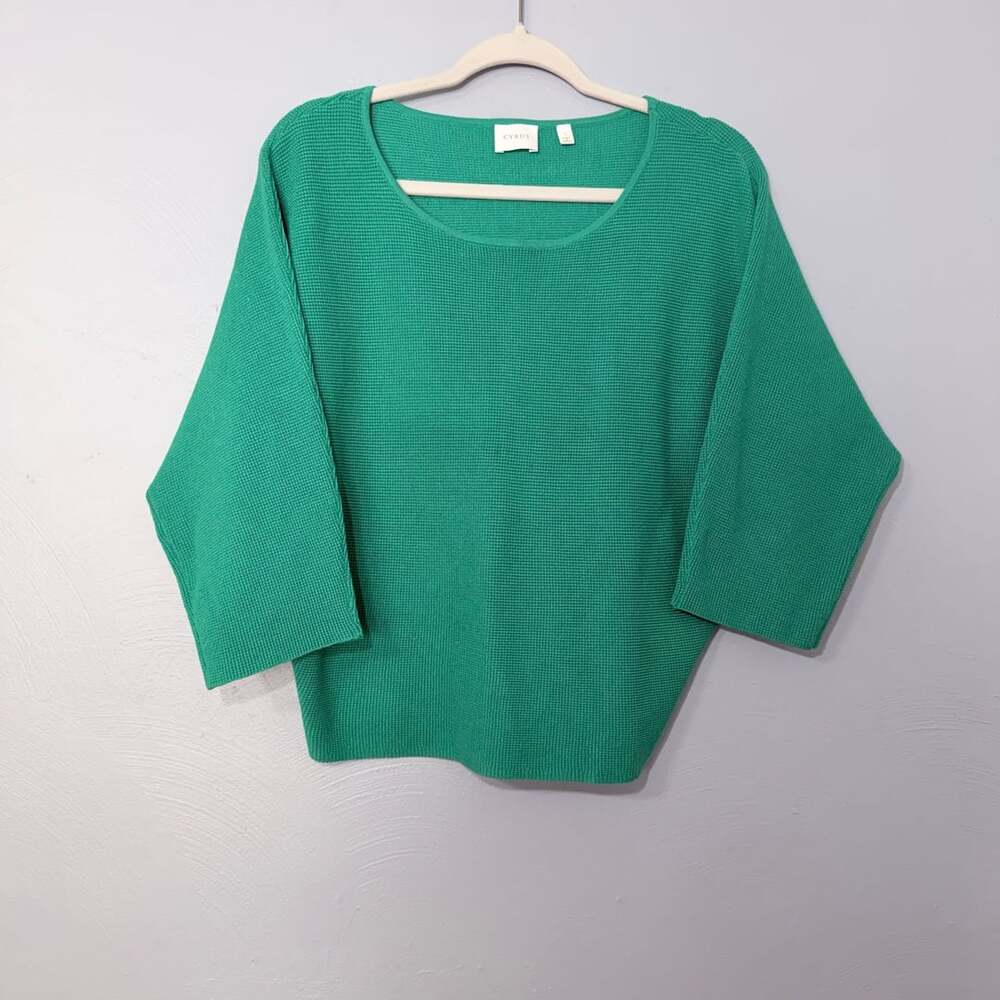Cyrus Green Textured Knit Scoop Neck Batwing Sleeve Top Size S